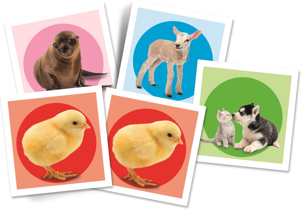Chiots mecospel de Clementoni