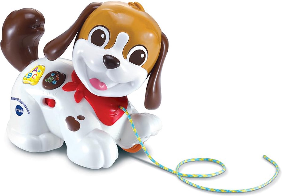 Vtech premier âge toutou, 1,2,3 promene-moi, 12 ans, piles nécessaires, aaa, plastique, multicolore