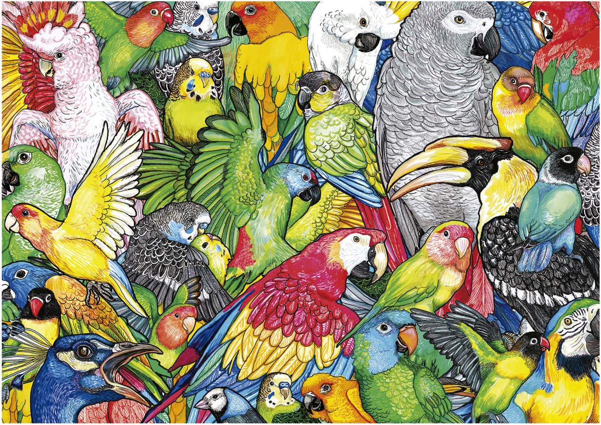 Educa - puzzle - 500 pièces - perroquet