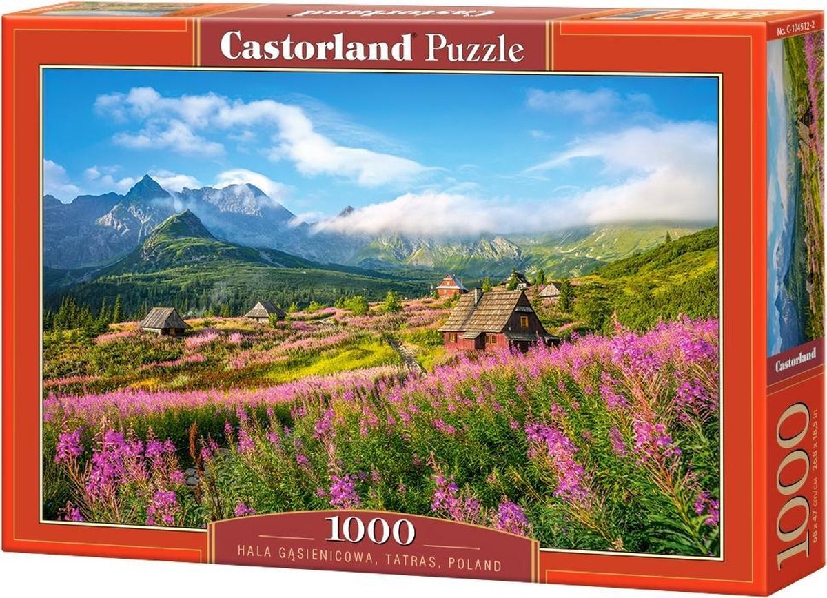 Castorland hala gąsienicowa, Tatras, Pologne - puzzle - 1 000 pièces - finition satinée - ajustement parfait - qualité européenne