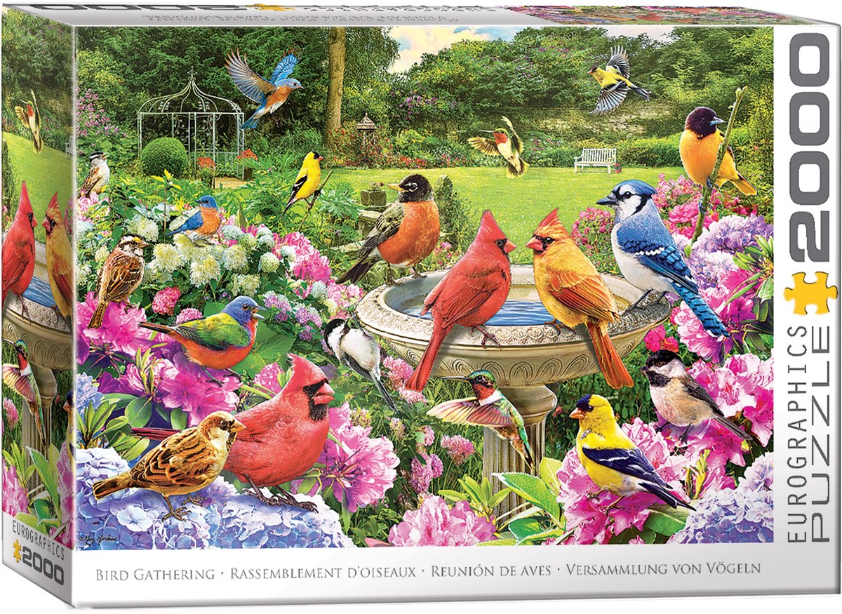 Puzzle Eurographics oiseaux 2000 pièces - puzzle nature.