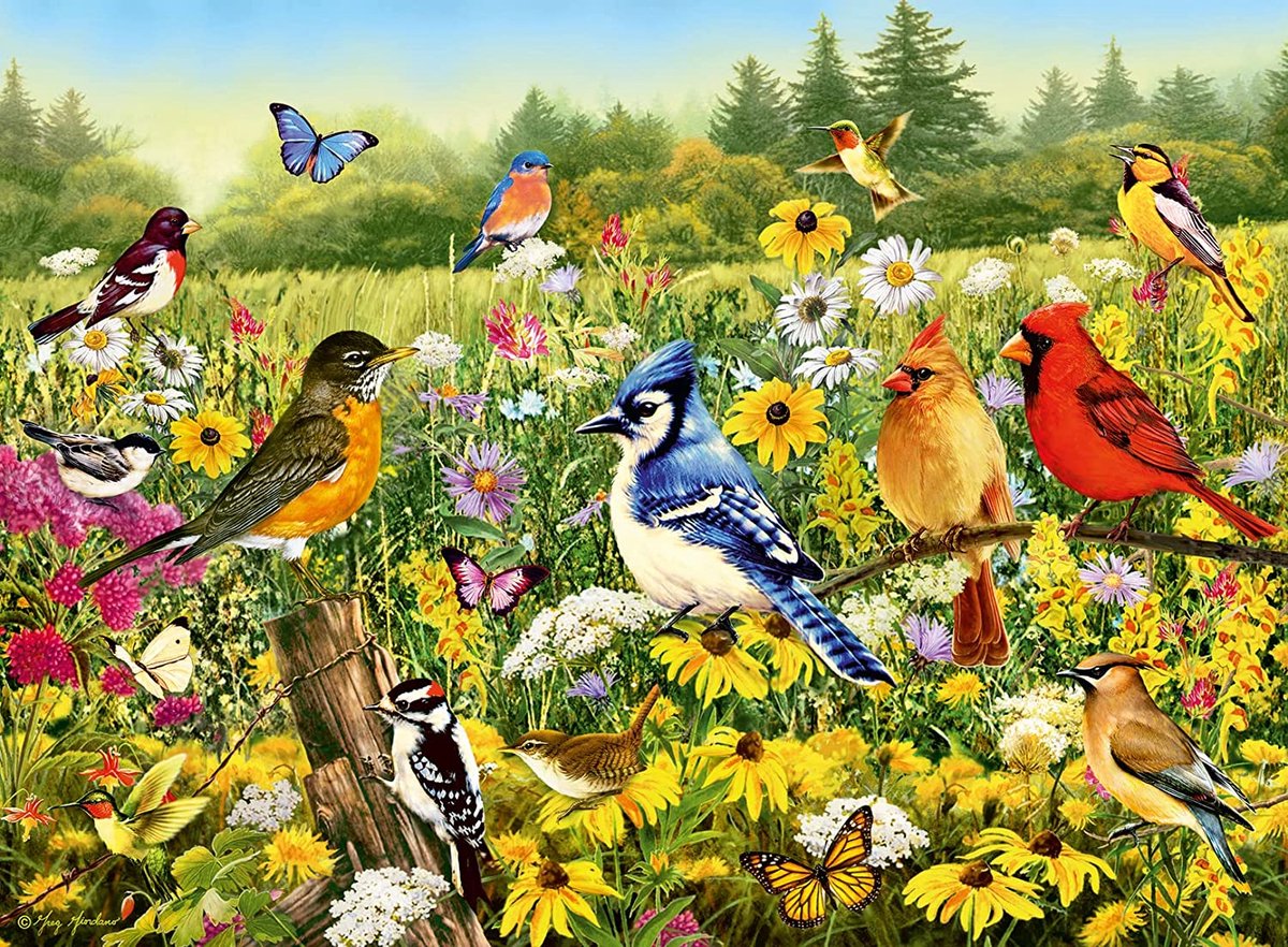 Ravensburger Puzzle Birds Puzzing dans la prairie, 1000st.