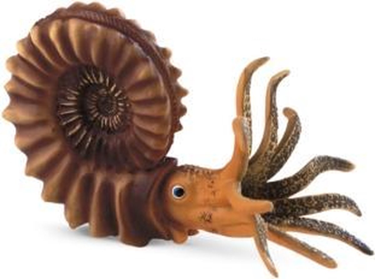 Bullyland 58400 – figurine de jeu et figurine de collection Ammonite – env. 9 cm – Design réaliste et détaillé – Idéal comme complément pédagogique, décoration ou petit cadeau pour les enfants à partir de 3 ans.