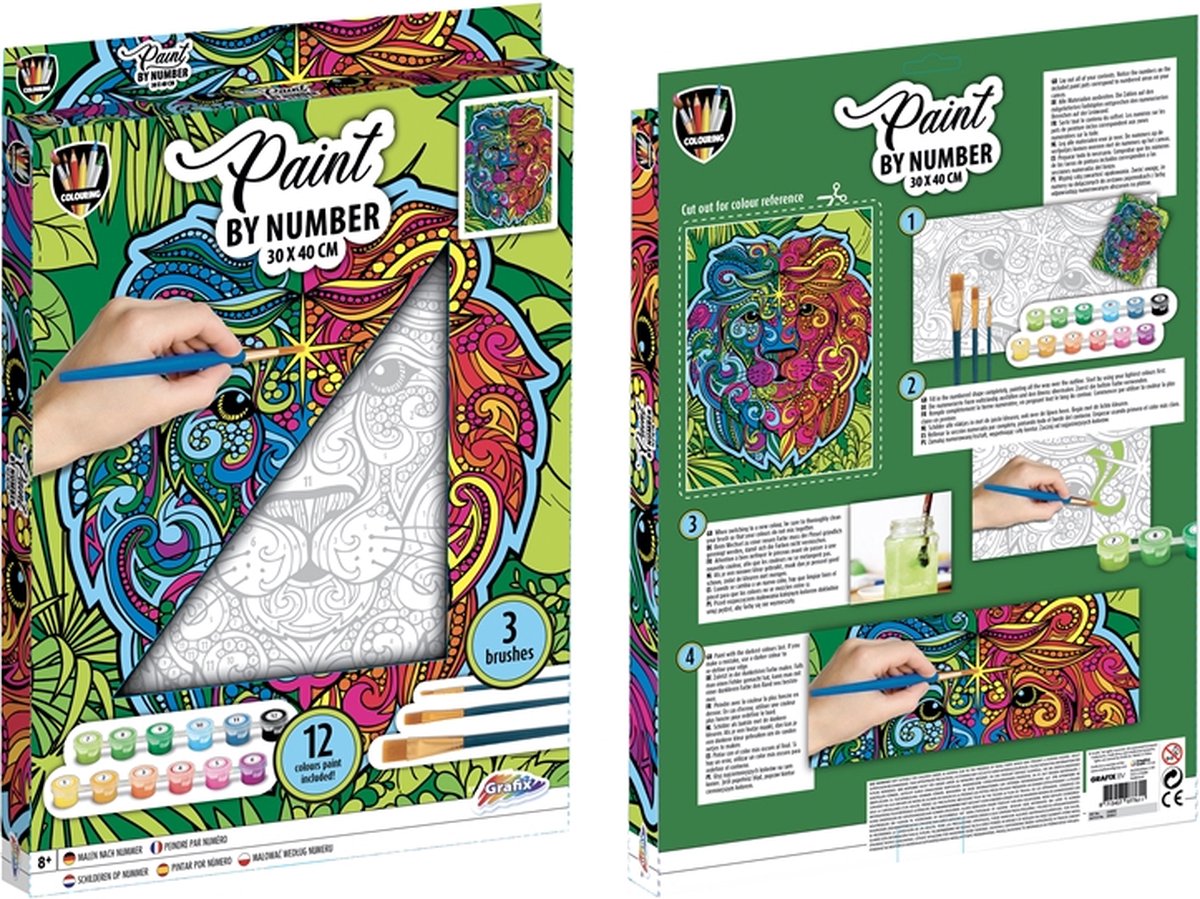 Peinture Grafix par numéro sur toile - lion