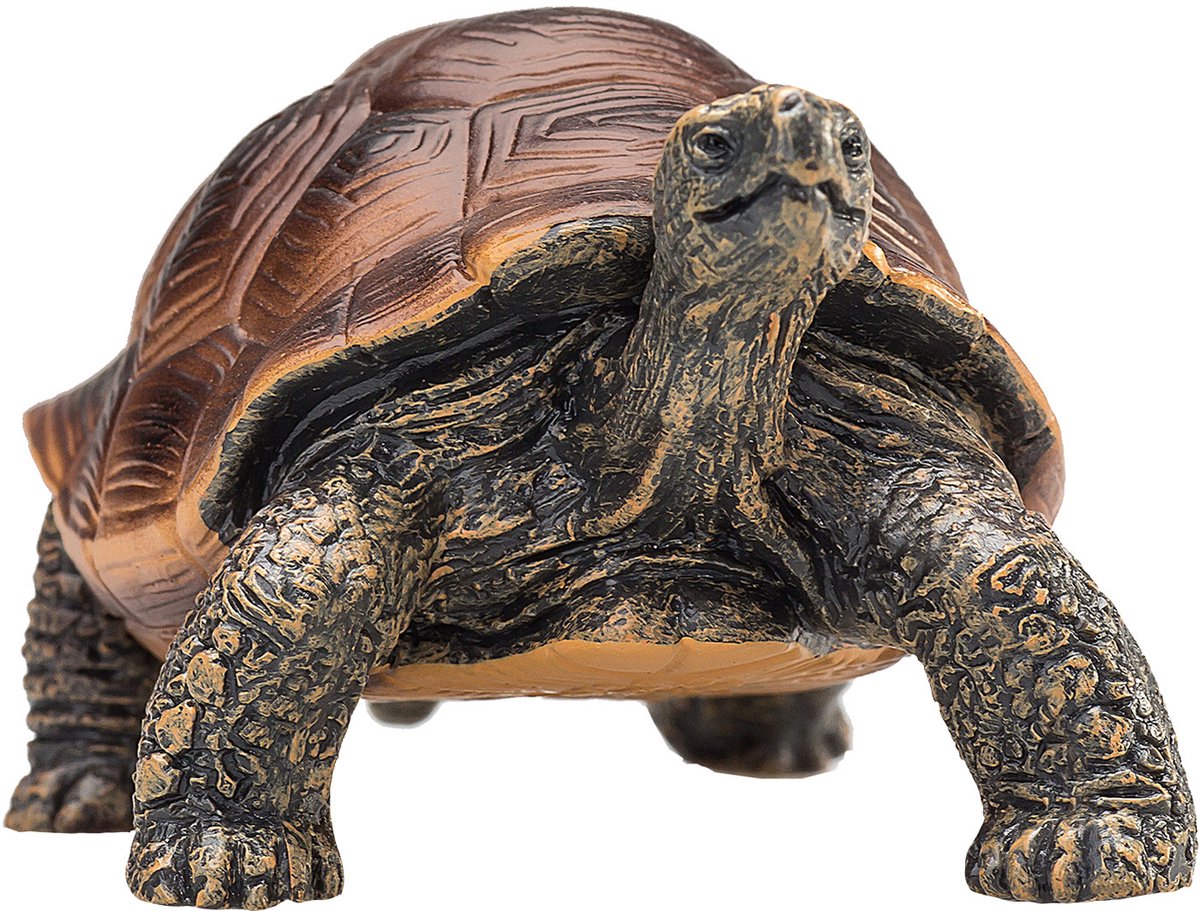 Tortue géante Mojo Wildlife - 387259