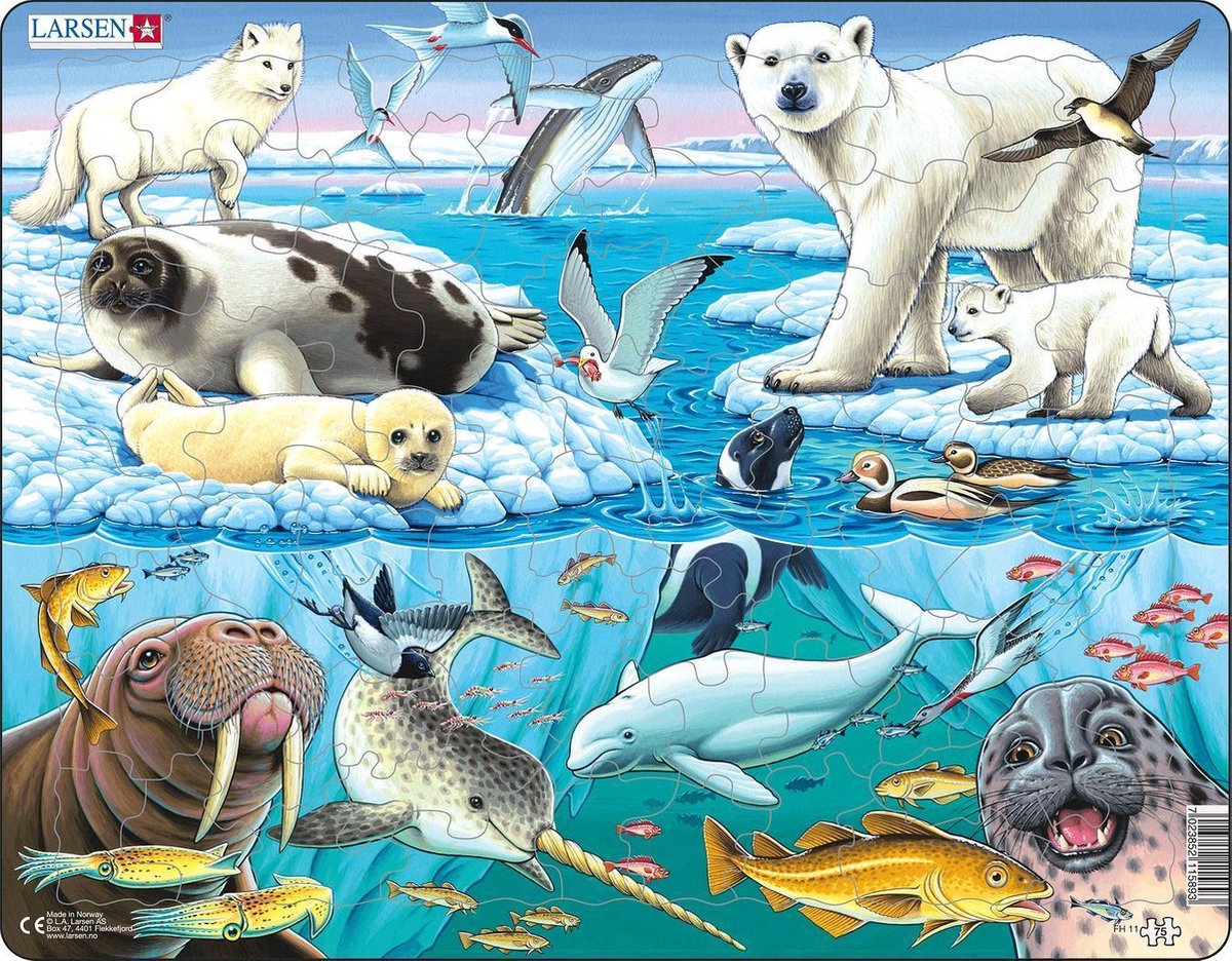 Selecta Larsen puzzle animaux - animaux polaires, 75 pcs.