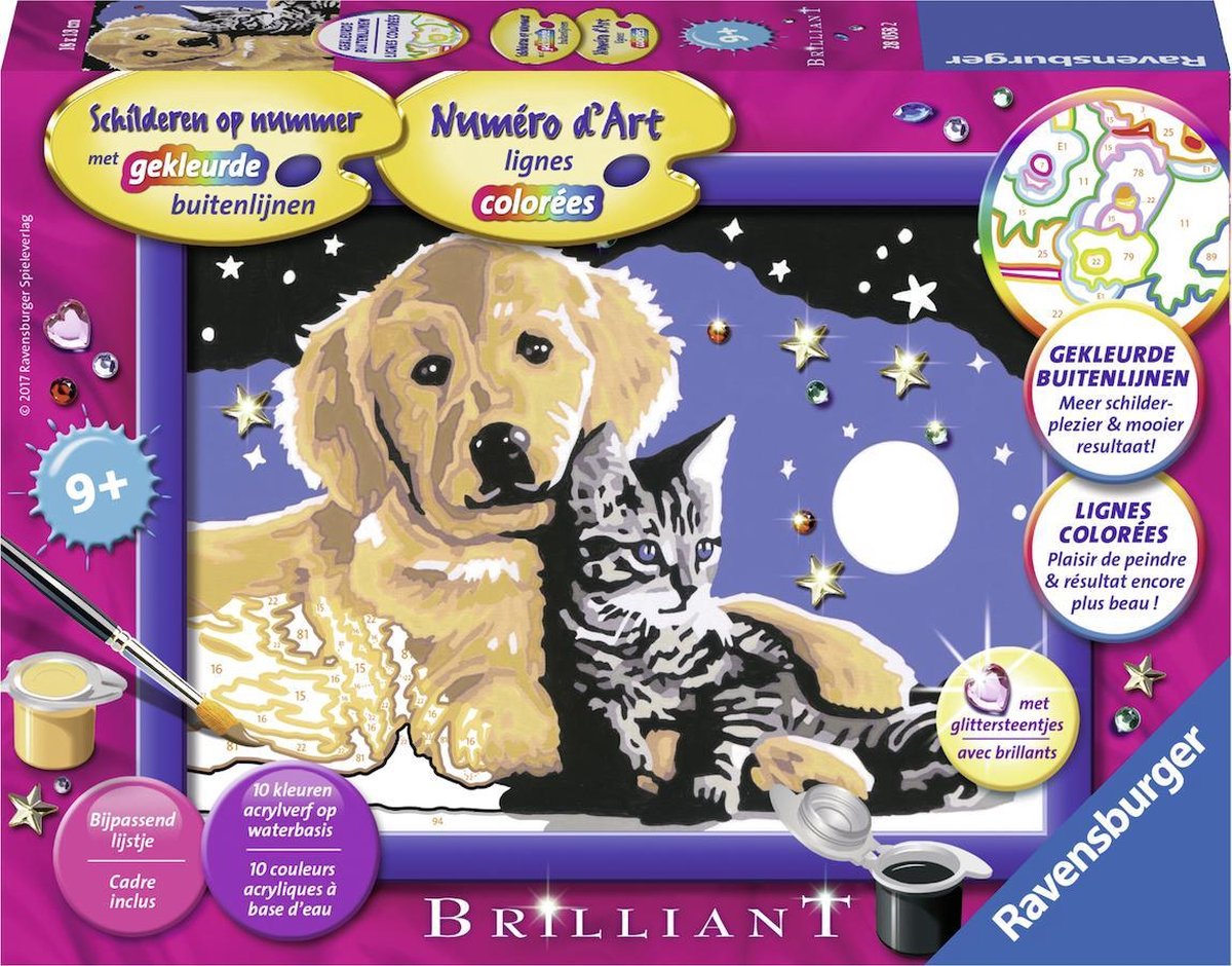 Ravensburger peinture par numéro beau ciel étoilé
