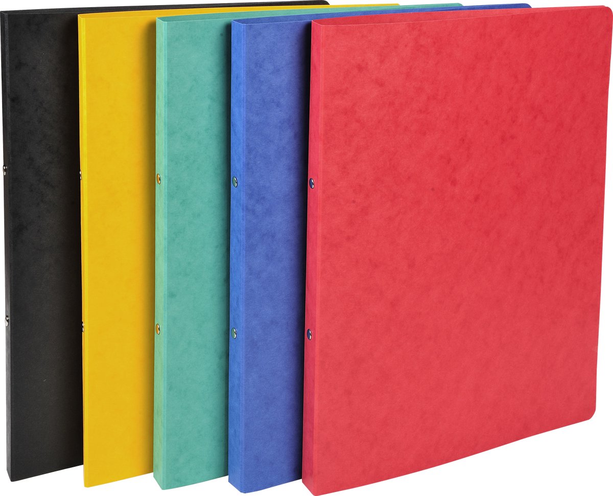 Exacompta Classeur 20x en carton brillant avec 2 anneaux de 15mm - a4 - assortis - 54250e