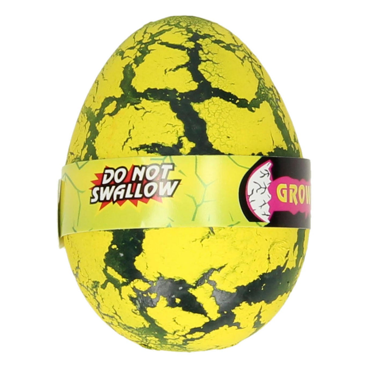 Oeuf de croissance de dinosaure coloré Duckiez