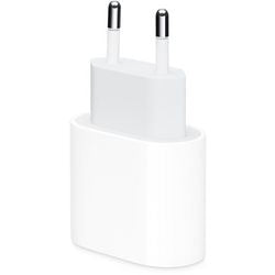 Adaptateur secteur gris pomme