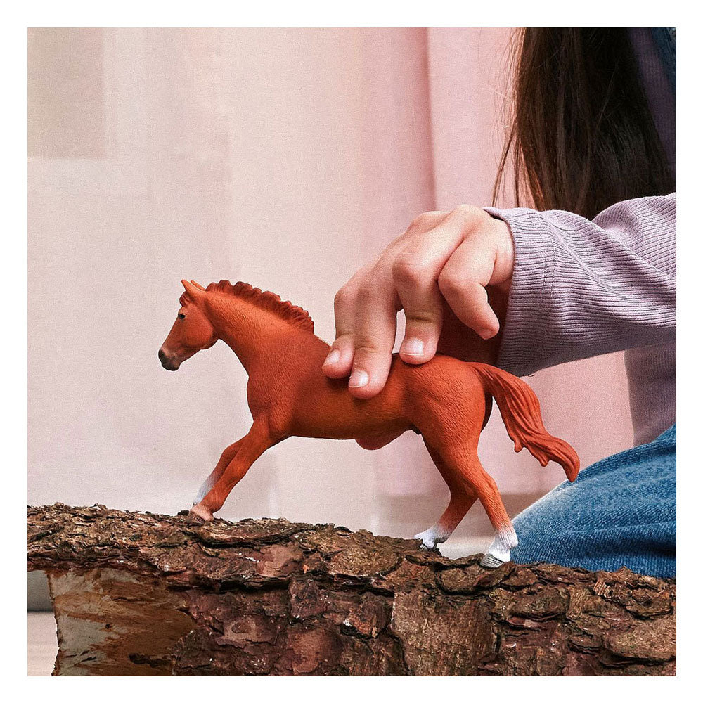 Schleich Horse Club étalon pur-sang anglais 14915