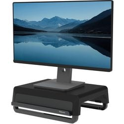 Support pour moniteur Fellowes 100016560 noir 15000 g