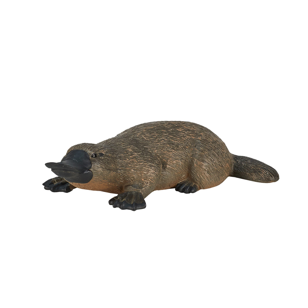 Ornithorynque sauvage Mojo - 387106