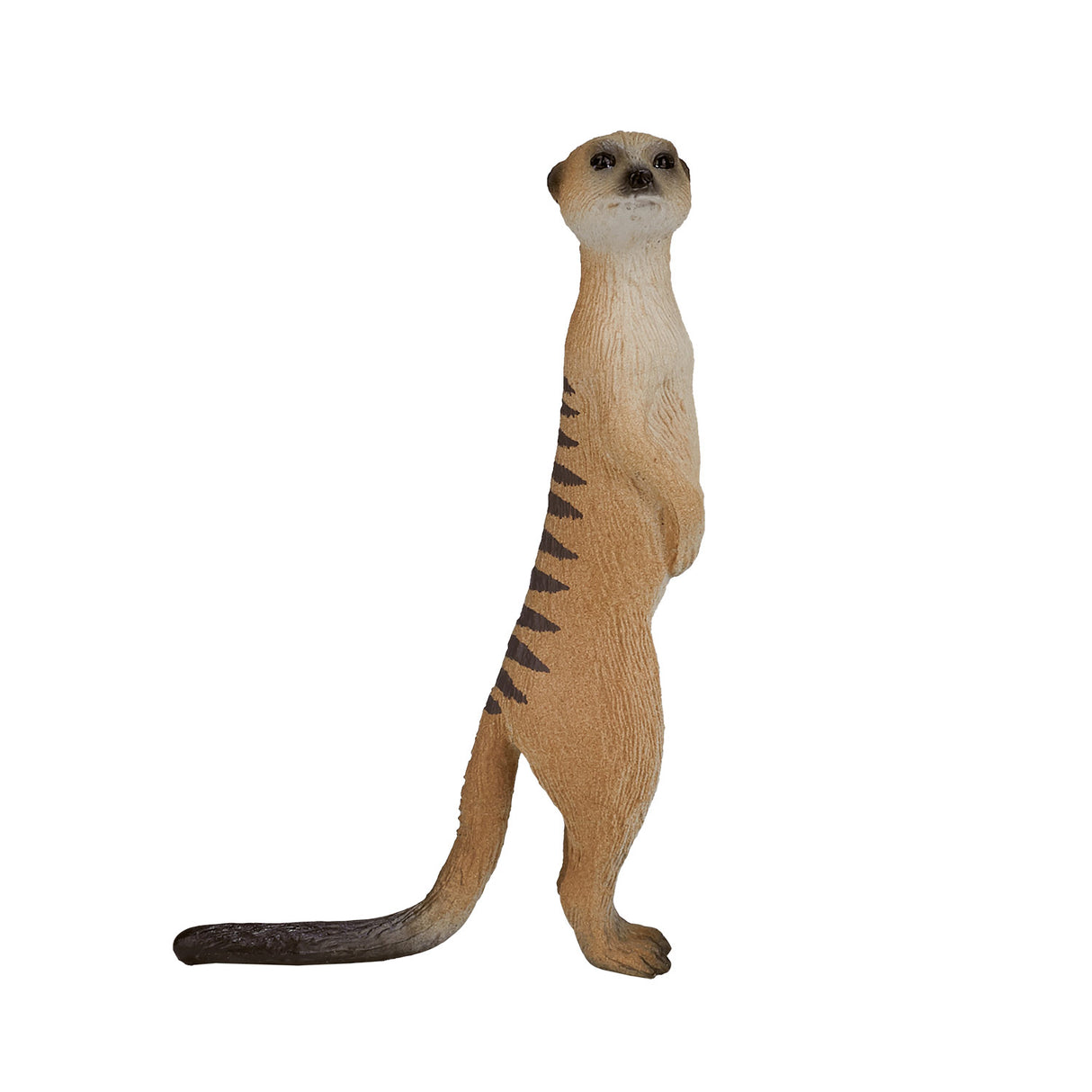Suricate de la faune Mojo - 387125