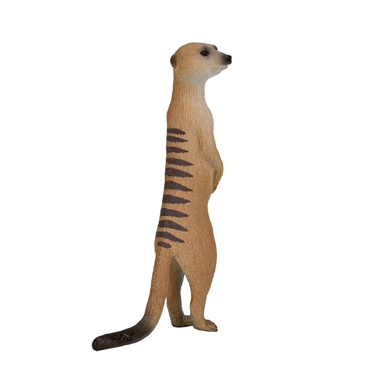 Suricate de la faune Mojo - 387125