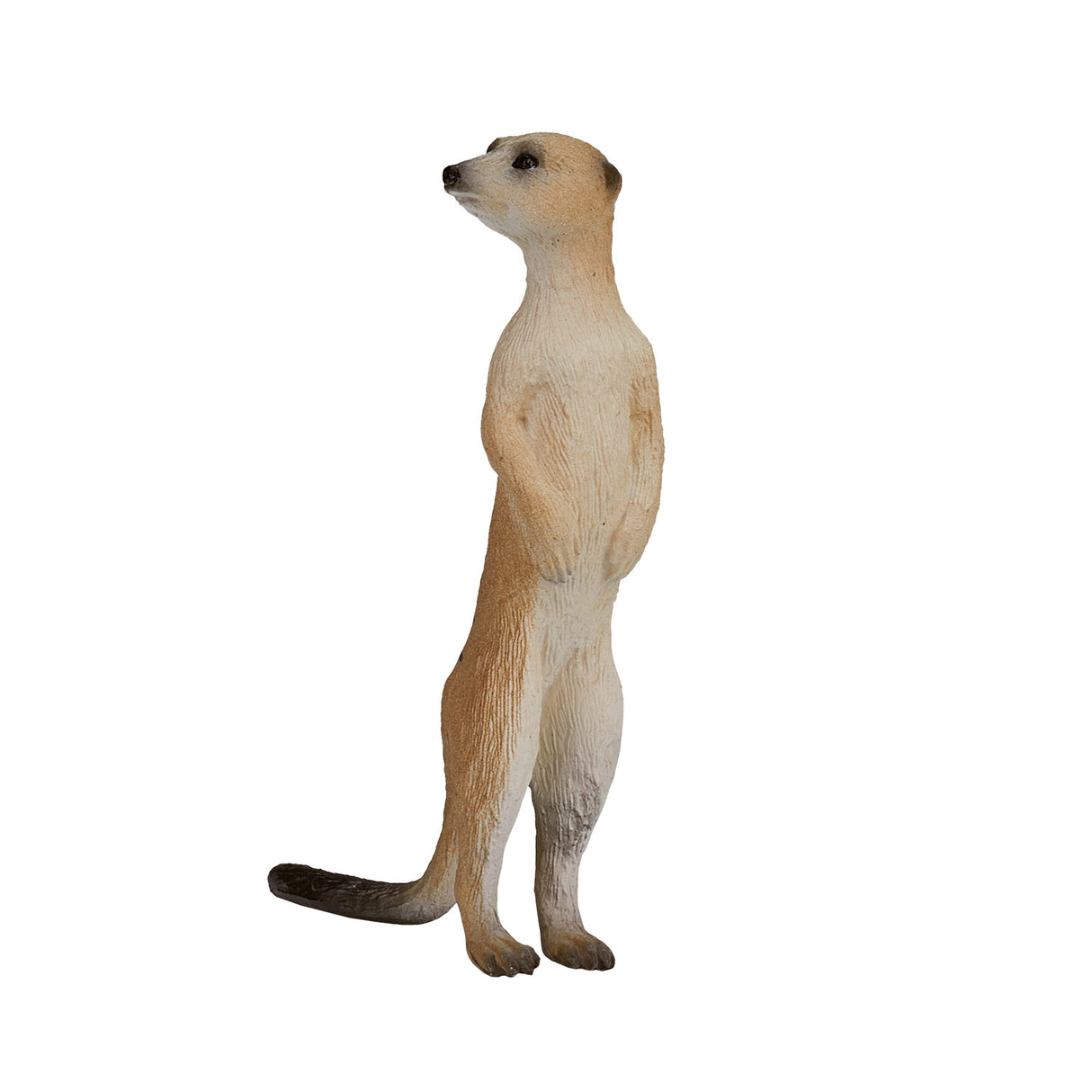 Suricate de la faune Mojo - 387125