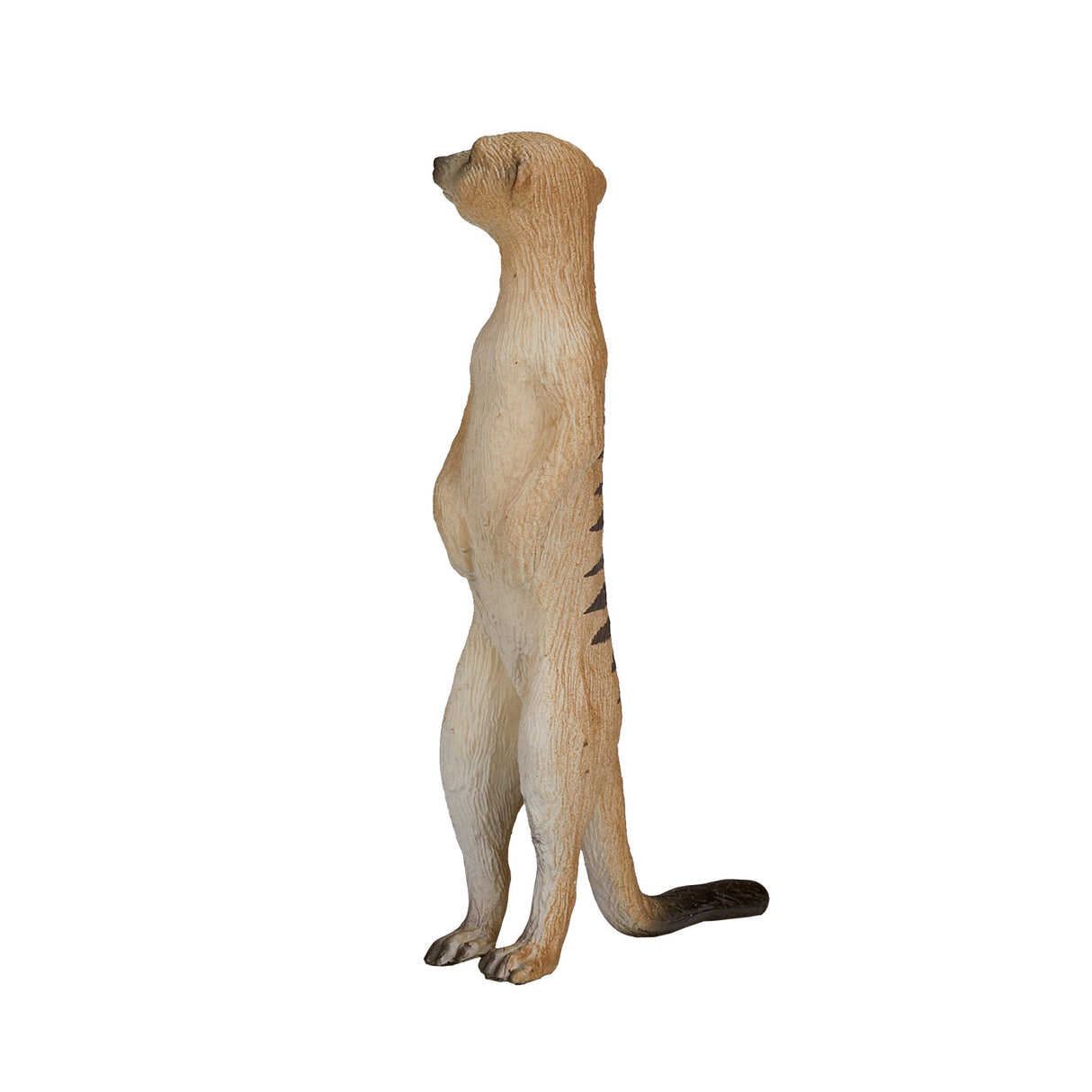 Suricate de la faune Mojo - 387125