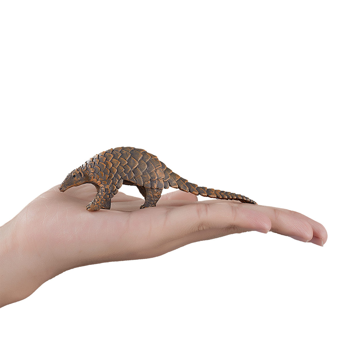 Pangolin indien Mojo Wildlife - 387174