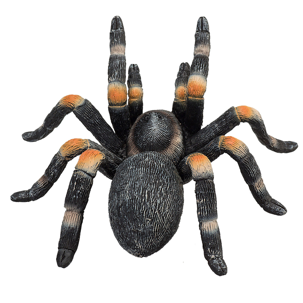 Tarentule rouge Mojo Wildlife - 387213