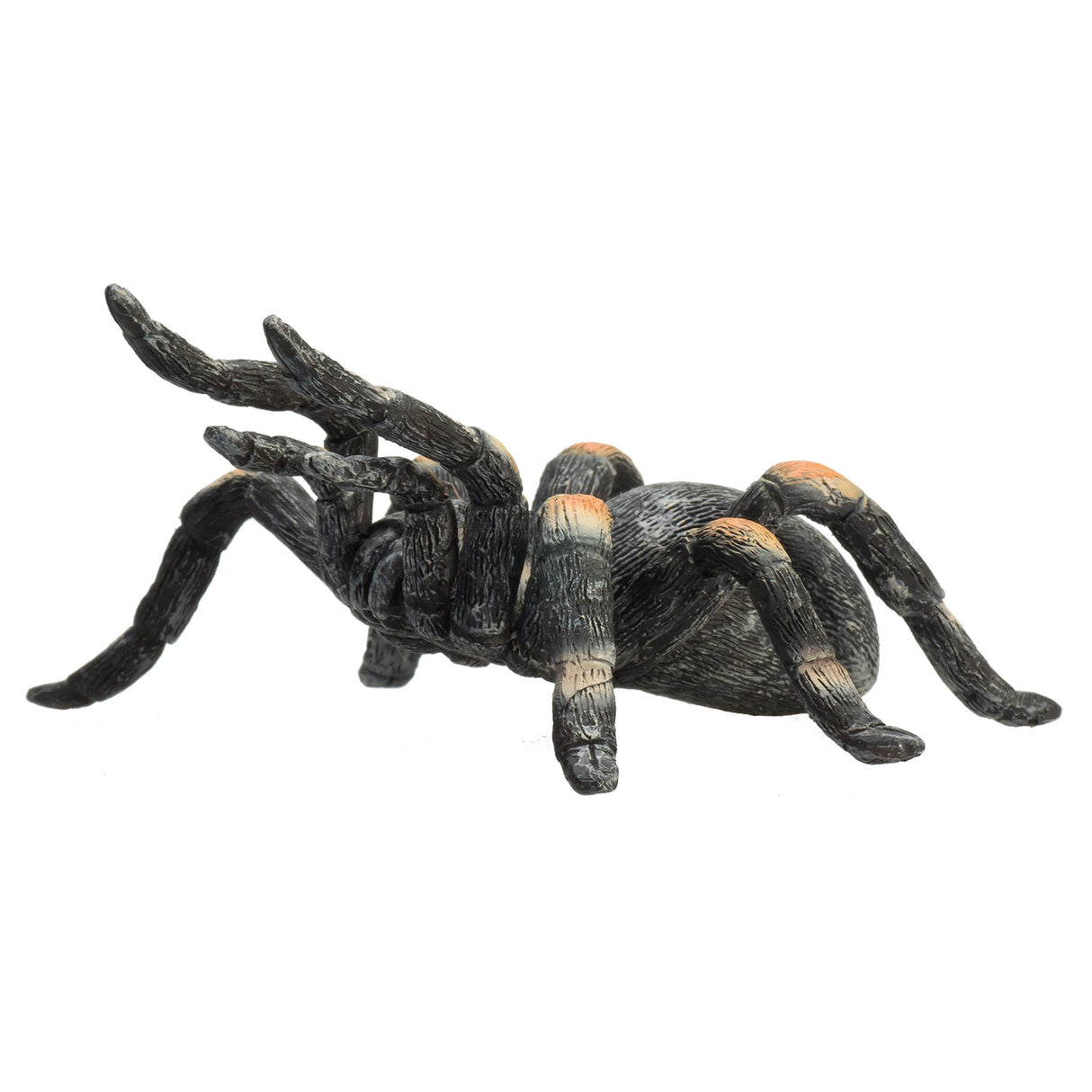 Tarentule rouge Mojo Wildlife - 387213