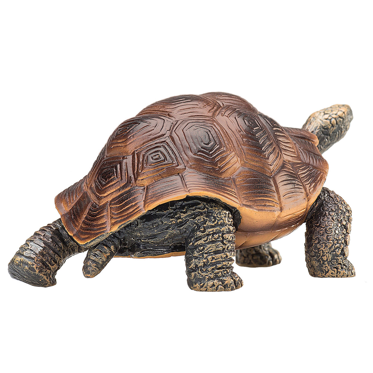 Tortue géante Mojo Wildlife - 387259
