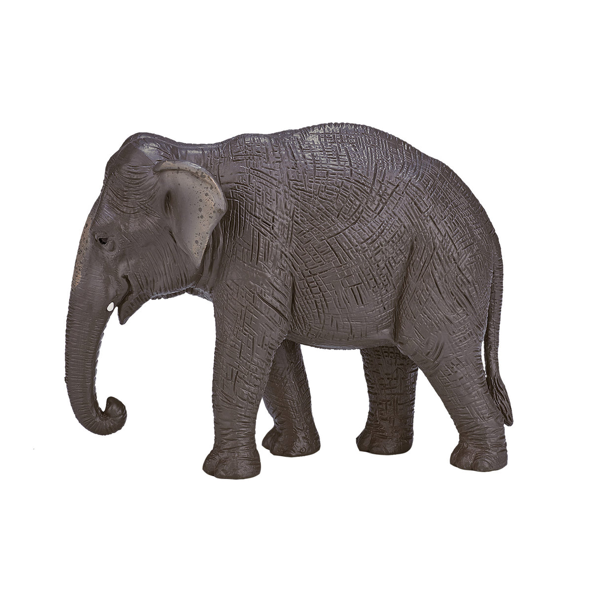 Éléphant d'Asie Mojo Wildlife - 387266
