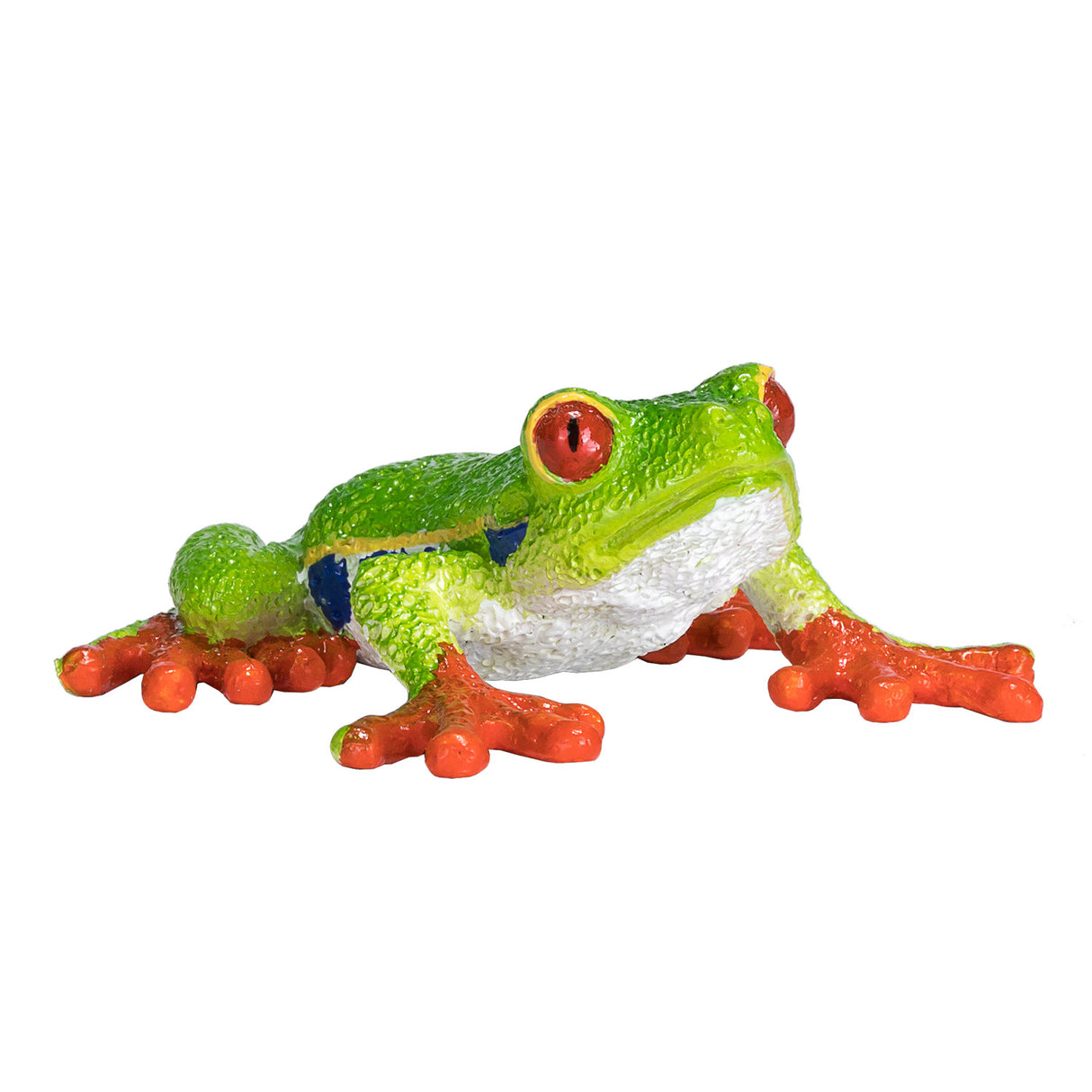 Rainette aux yeux rouges Mojo Wildlife - 387299