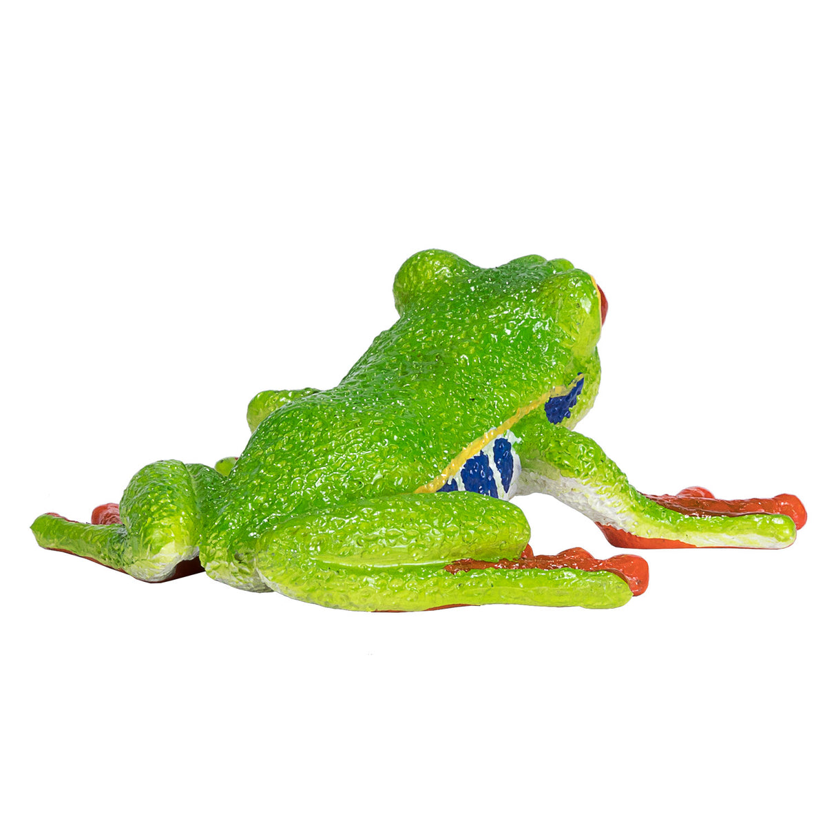 Rainette aux yeux rouges Mojo Wildlife - 387299