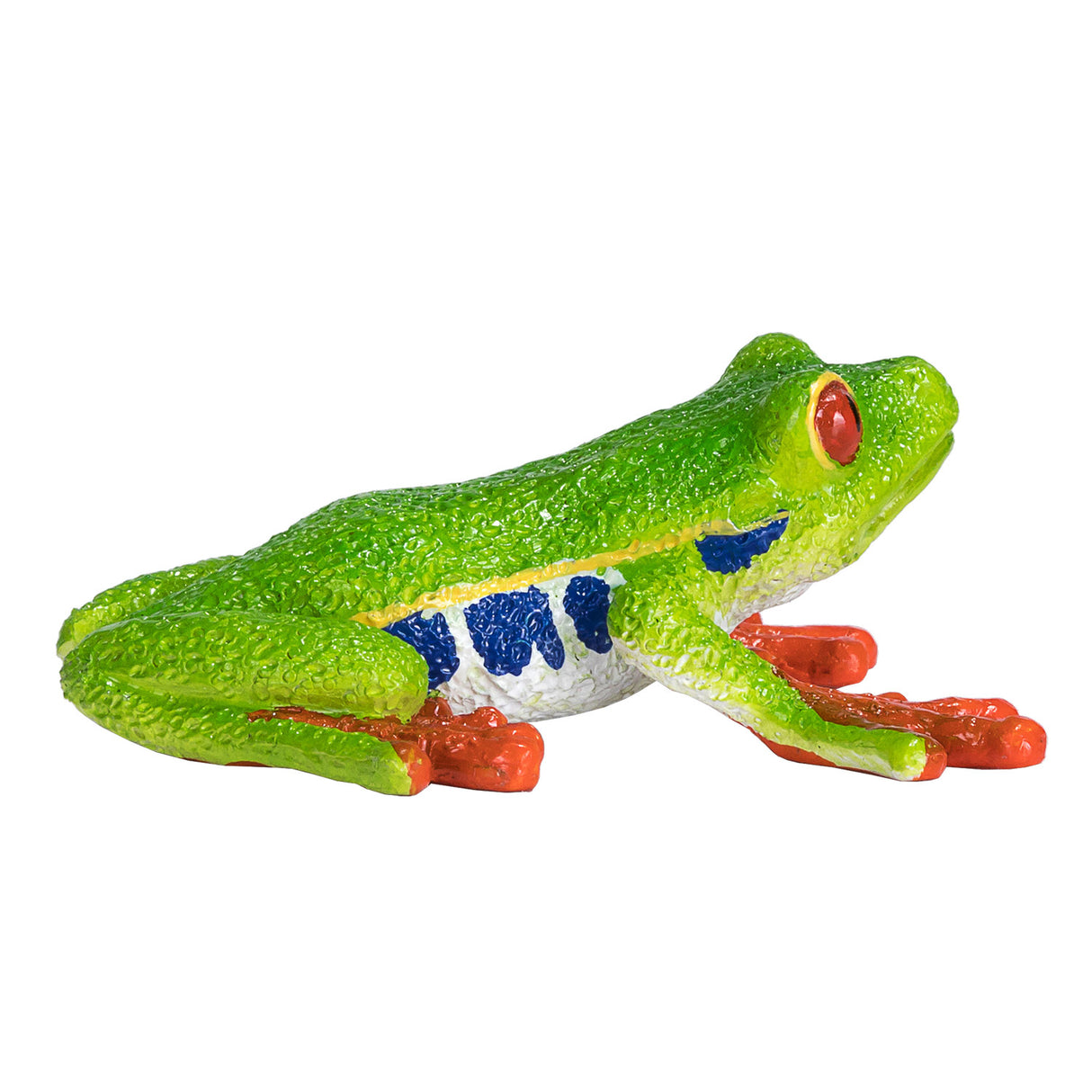 Rainette aux yeux rouges Mojo Wildlife - 387299