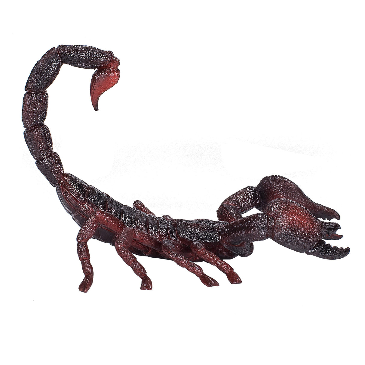 Scorpion empereur de la faune Mojo - 387133