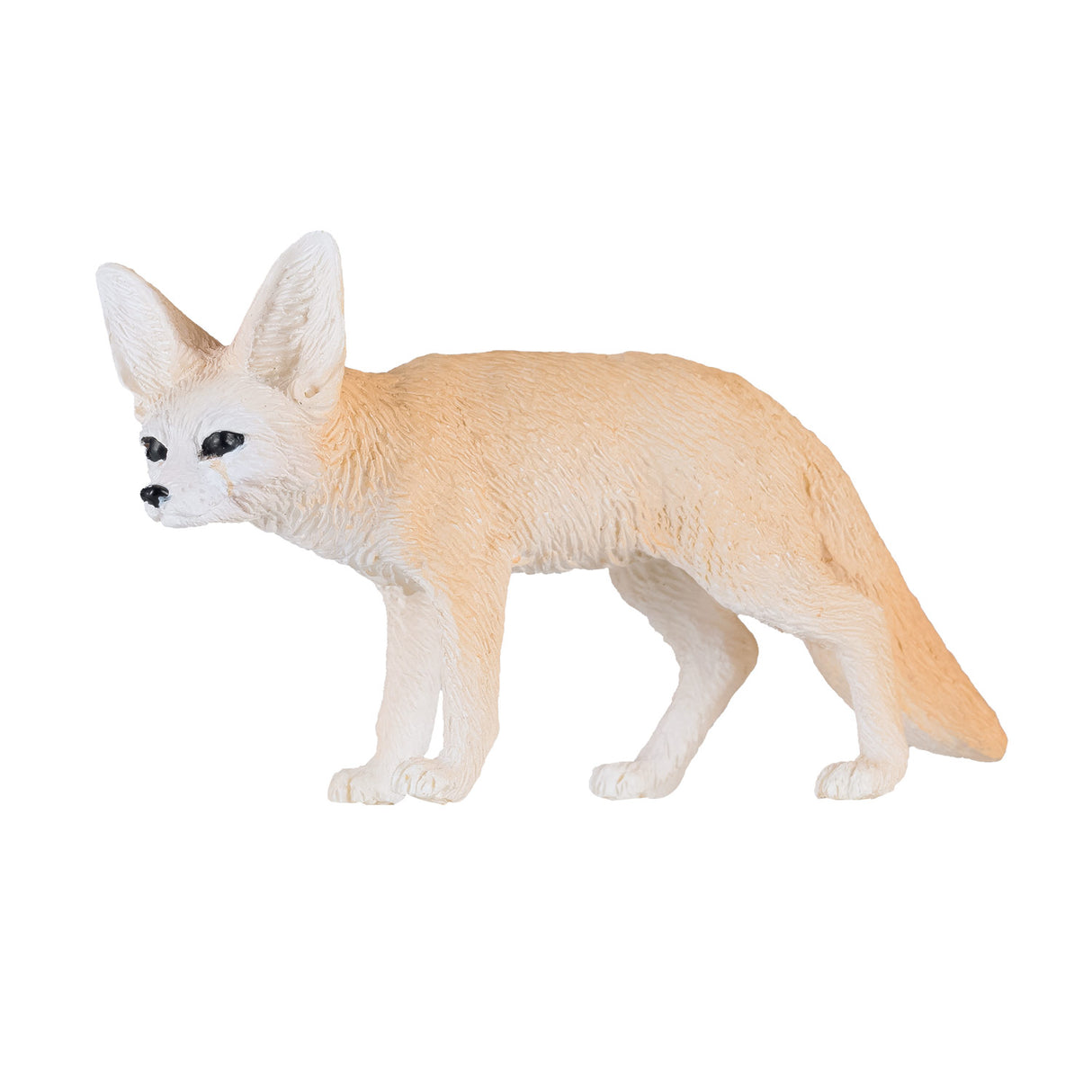 Renard du désert Mojo Wildlife - 381055