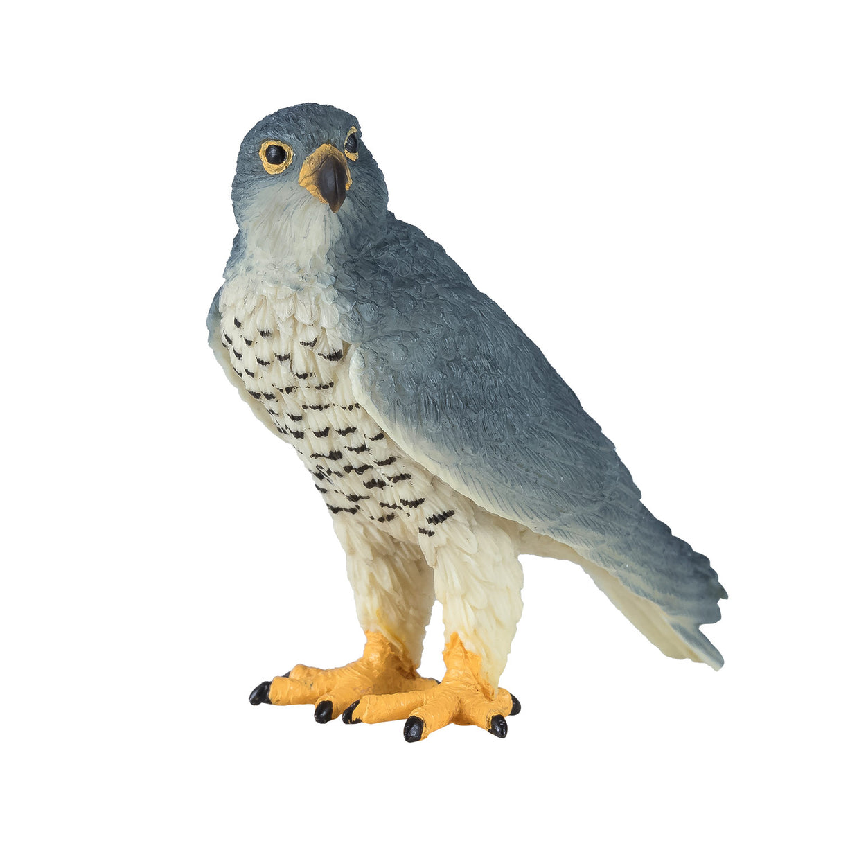 Faucon pèlerin de la faune Mojo - 381056