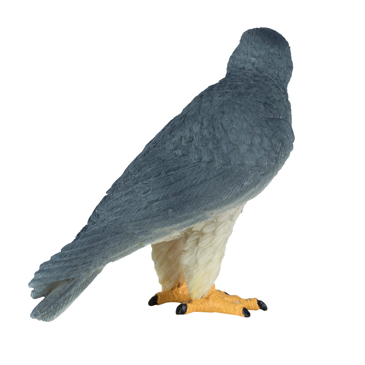 Faucon pèlerin de la faune Mojo - 381056
