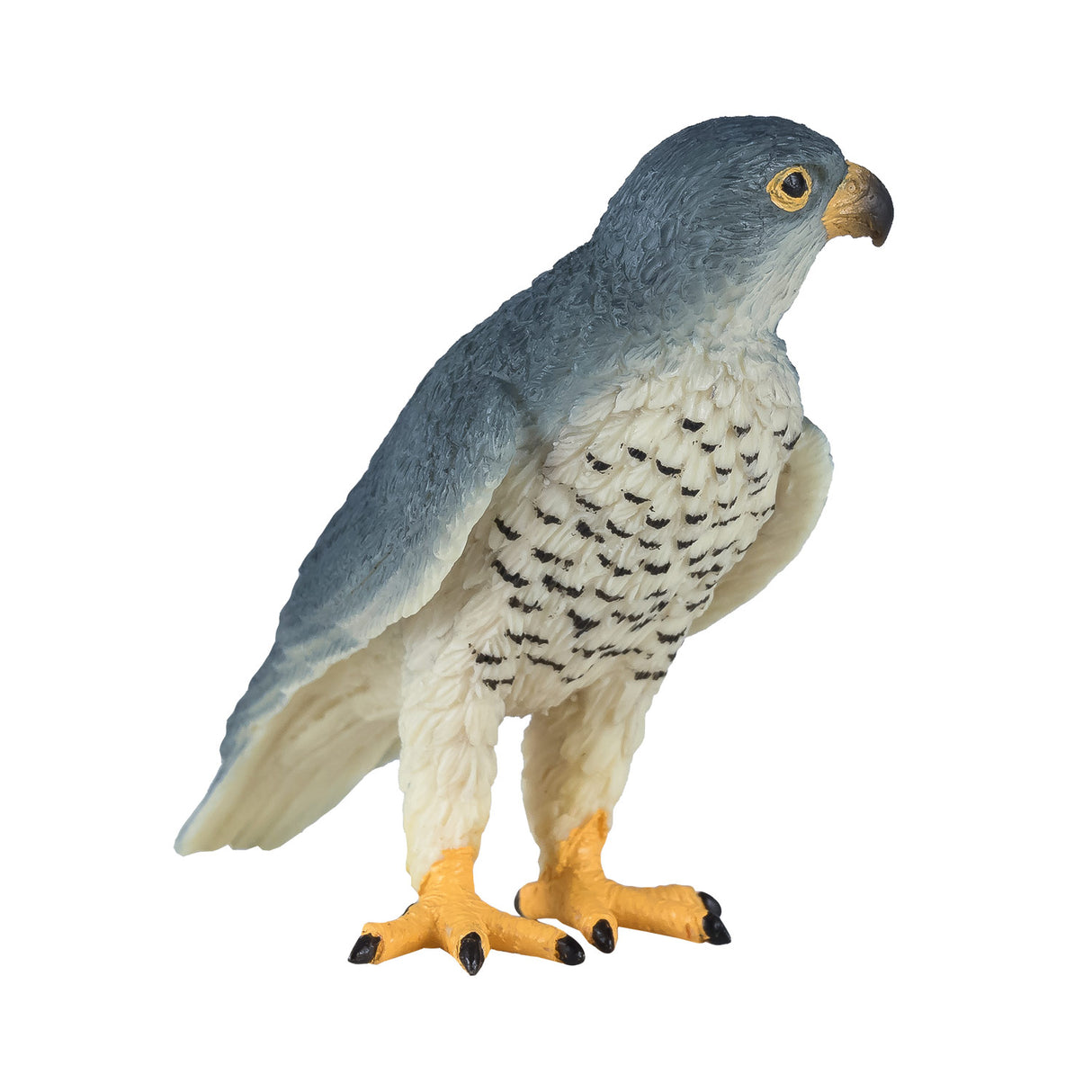 Faucon pèlerin de la faune Mojo - 381056