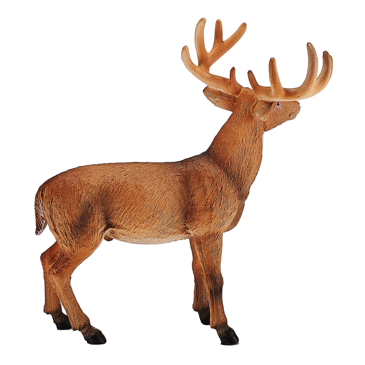 Mojo Wildlife cerf de Virginie - 387038