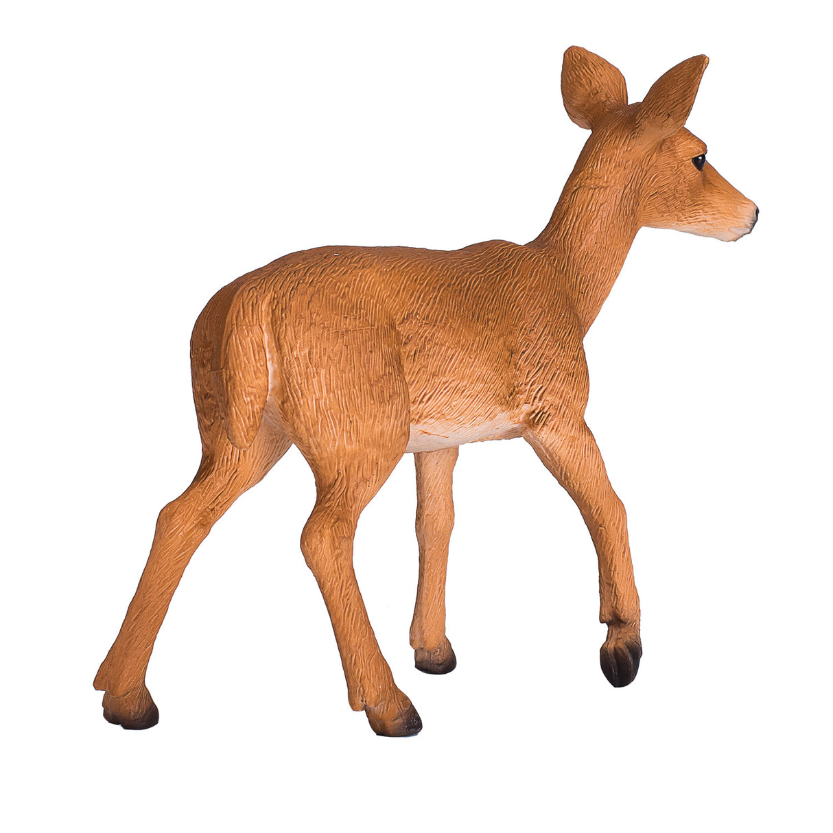 Cerf de Virginie Mojo Wildlife - 387185
