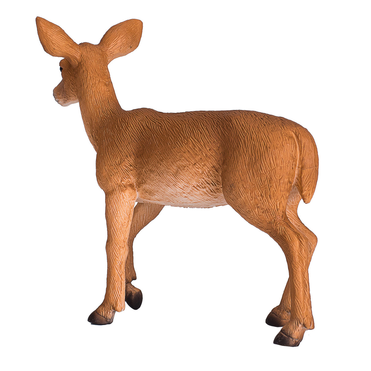 Cerf de Virginie Mojo Wildlife - 387185