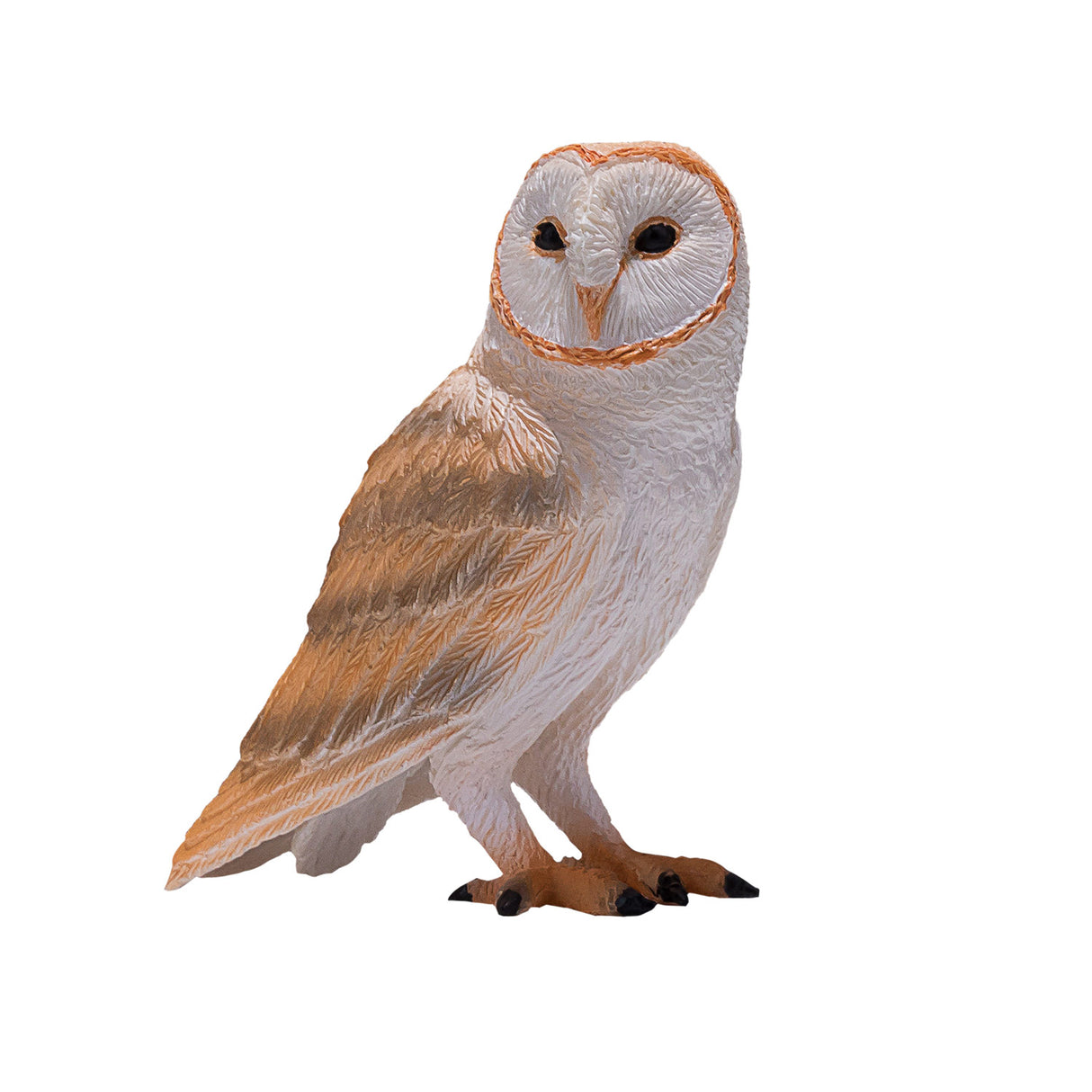 Effraie des clochers de la faune Mojo - 381054