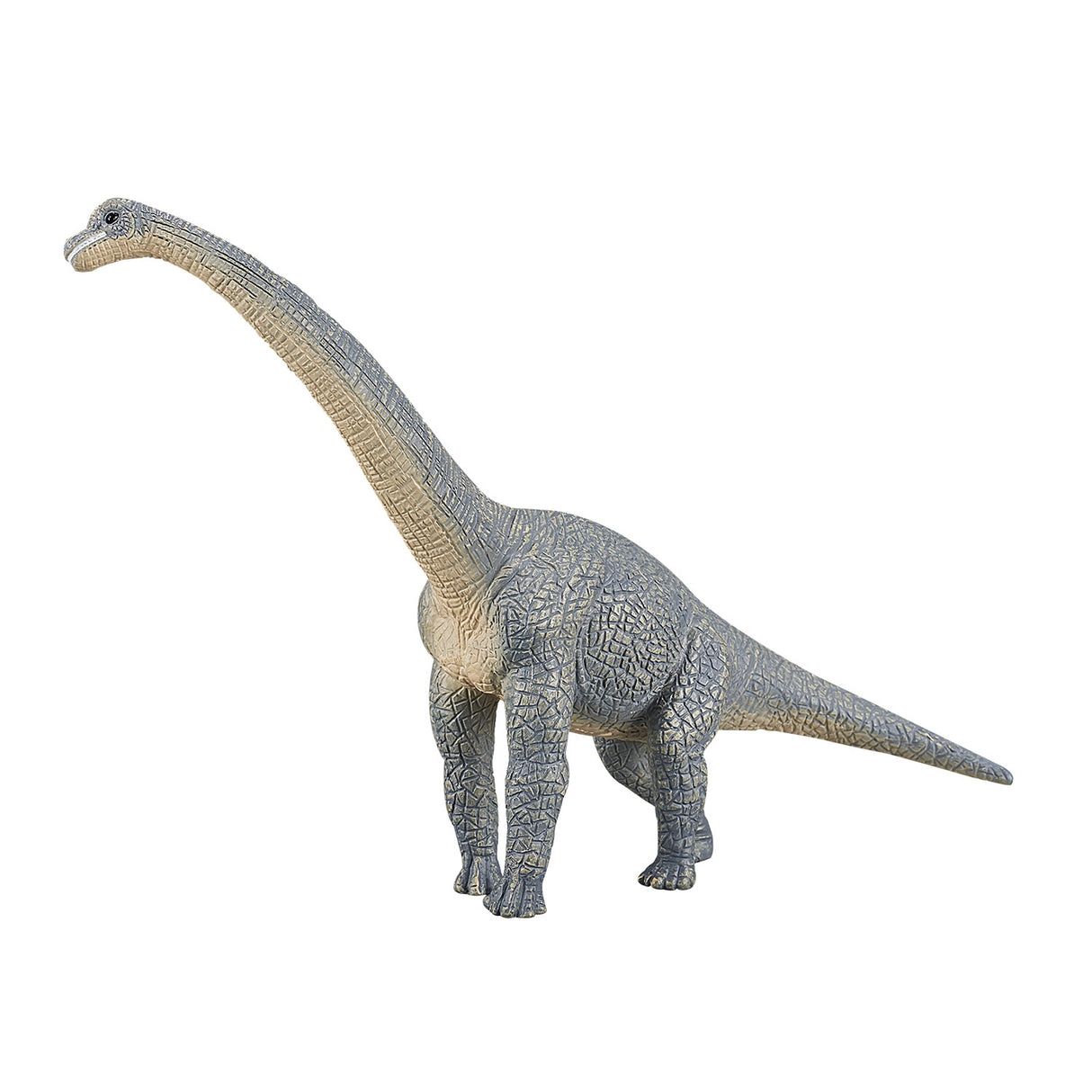 Brachiosaure de préhistoire Mojo - 387044