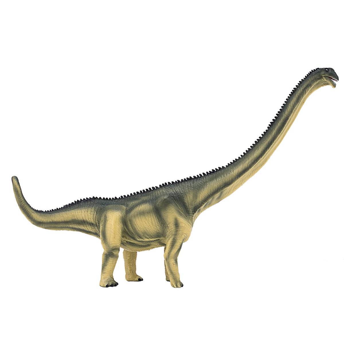 Mamenchisaurus de luxe préhistoire Mojo - 387387