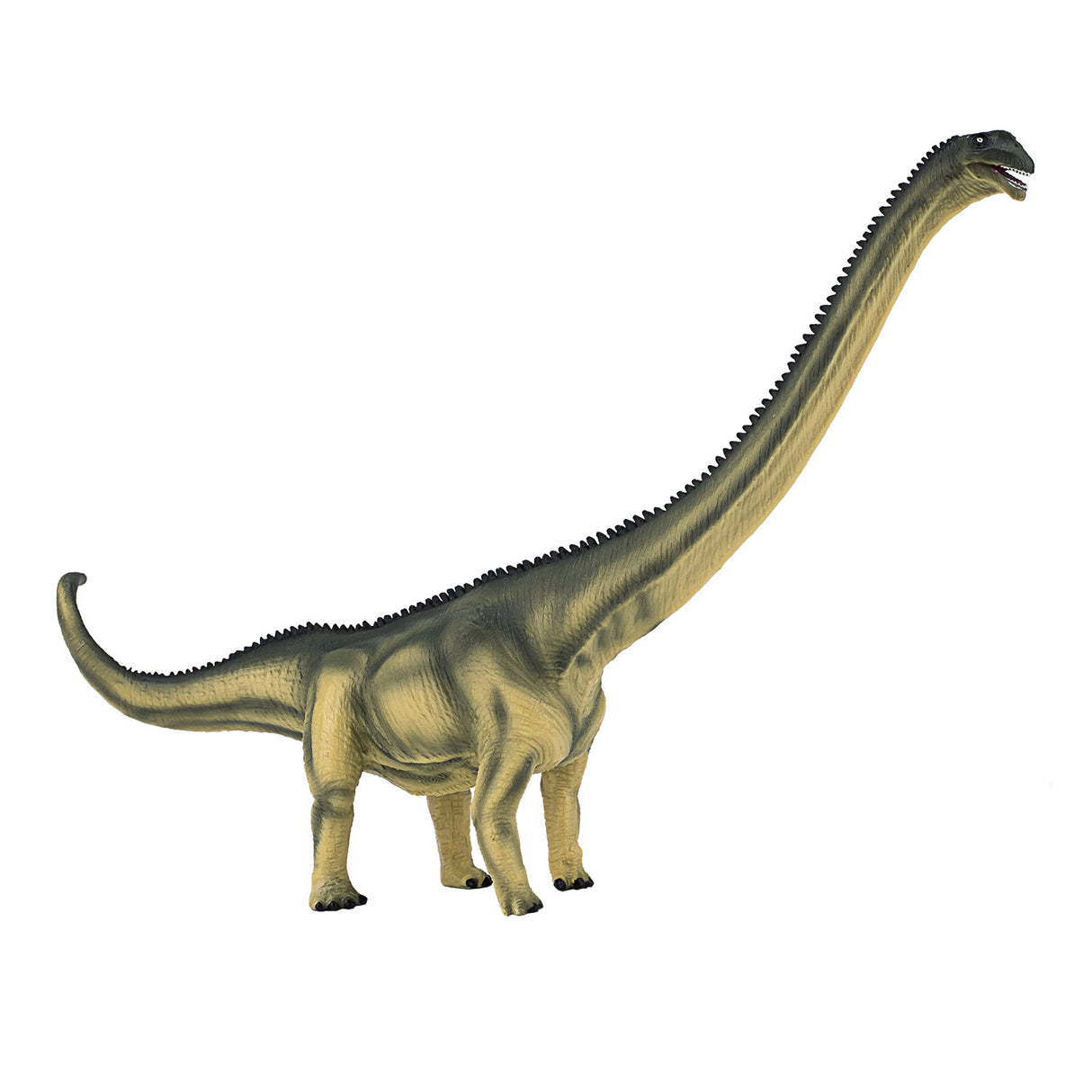 Mamenchisaurus de luxe préhistoire Mojo - 387387