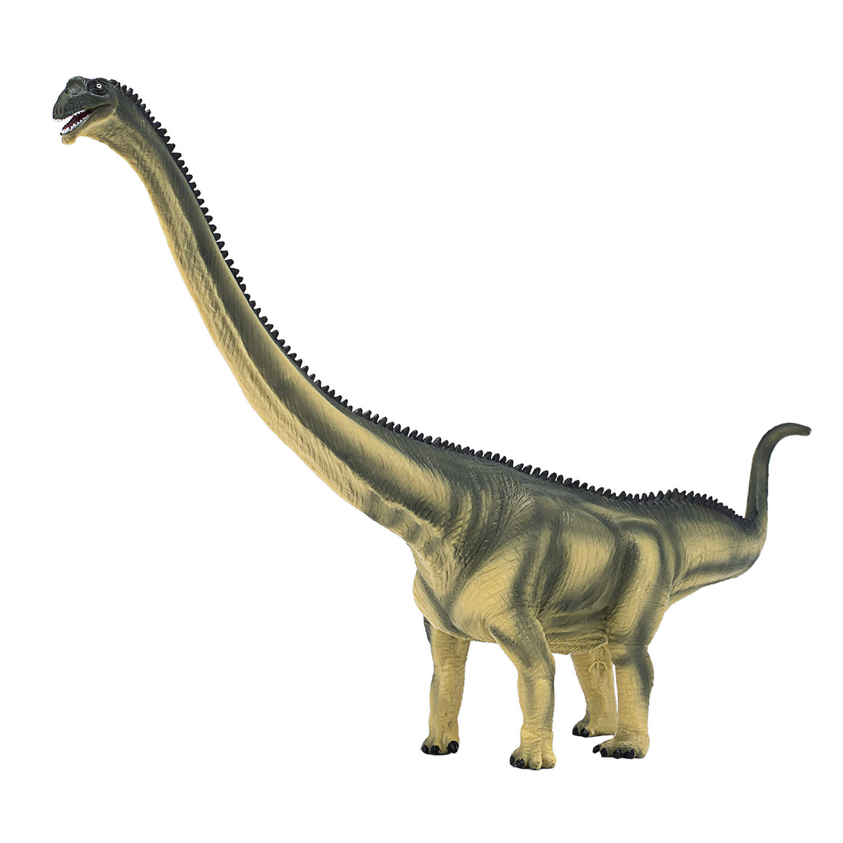 Mamenchisaurus de luxe préhistoire Mojo - 387387