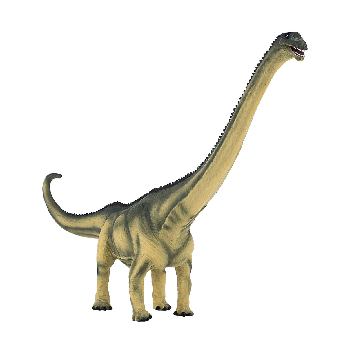Mamenchisaurus de luxe préhistoire Mojo - 387387