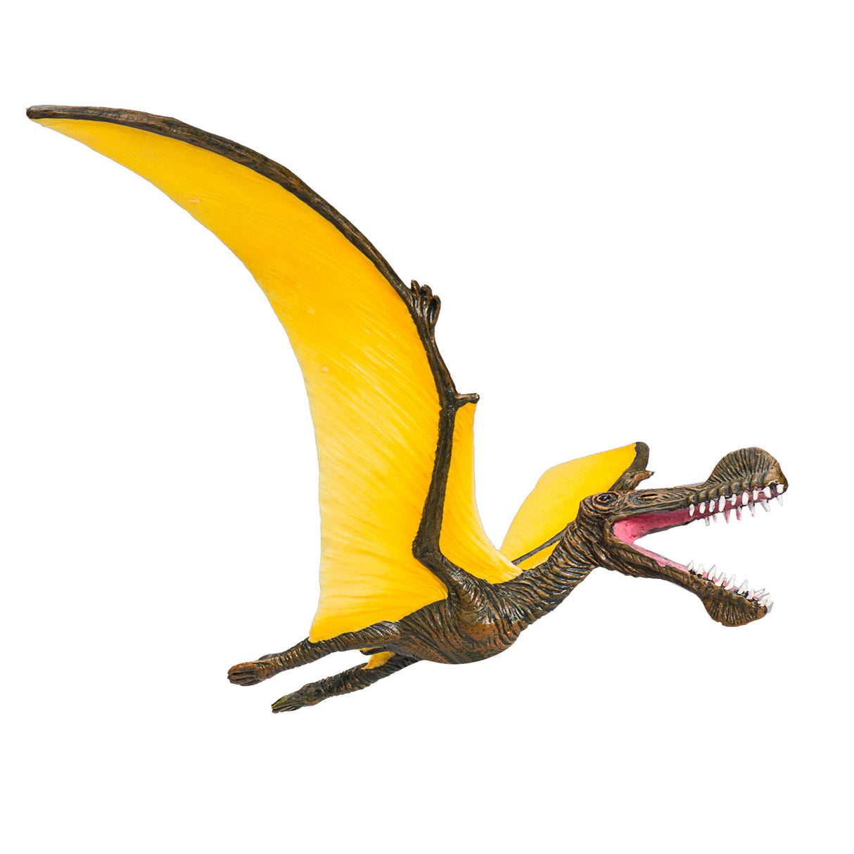 Mojo préhistoire tropeognathus - 387375
