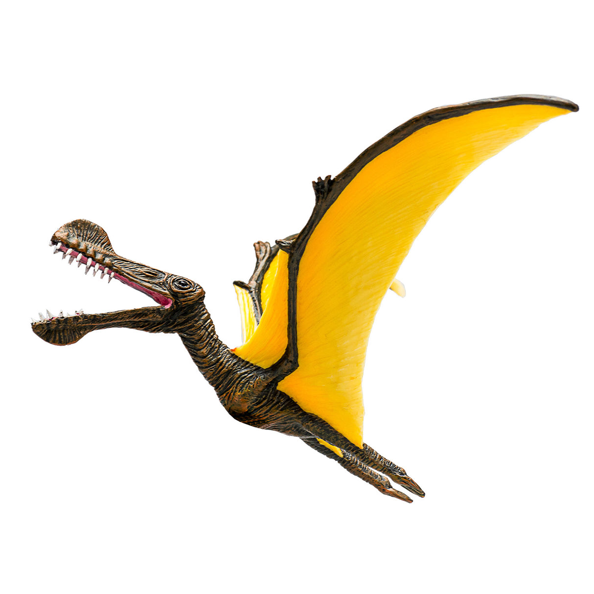 Mojo préhistoire tropeognathus - 387375