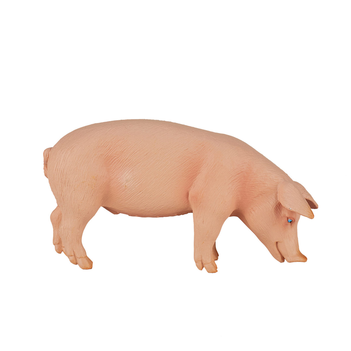 Sanglier des terres agricoles Mojo - 387080