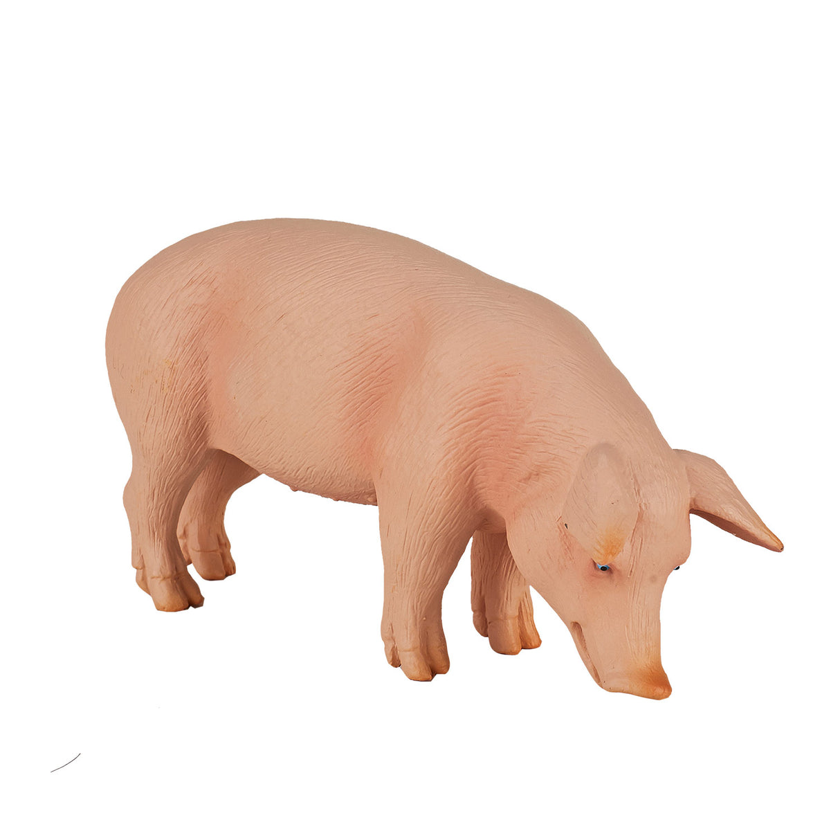 Sanglier des terres agricoles Mojo - 387080