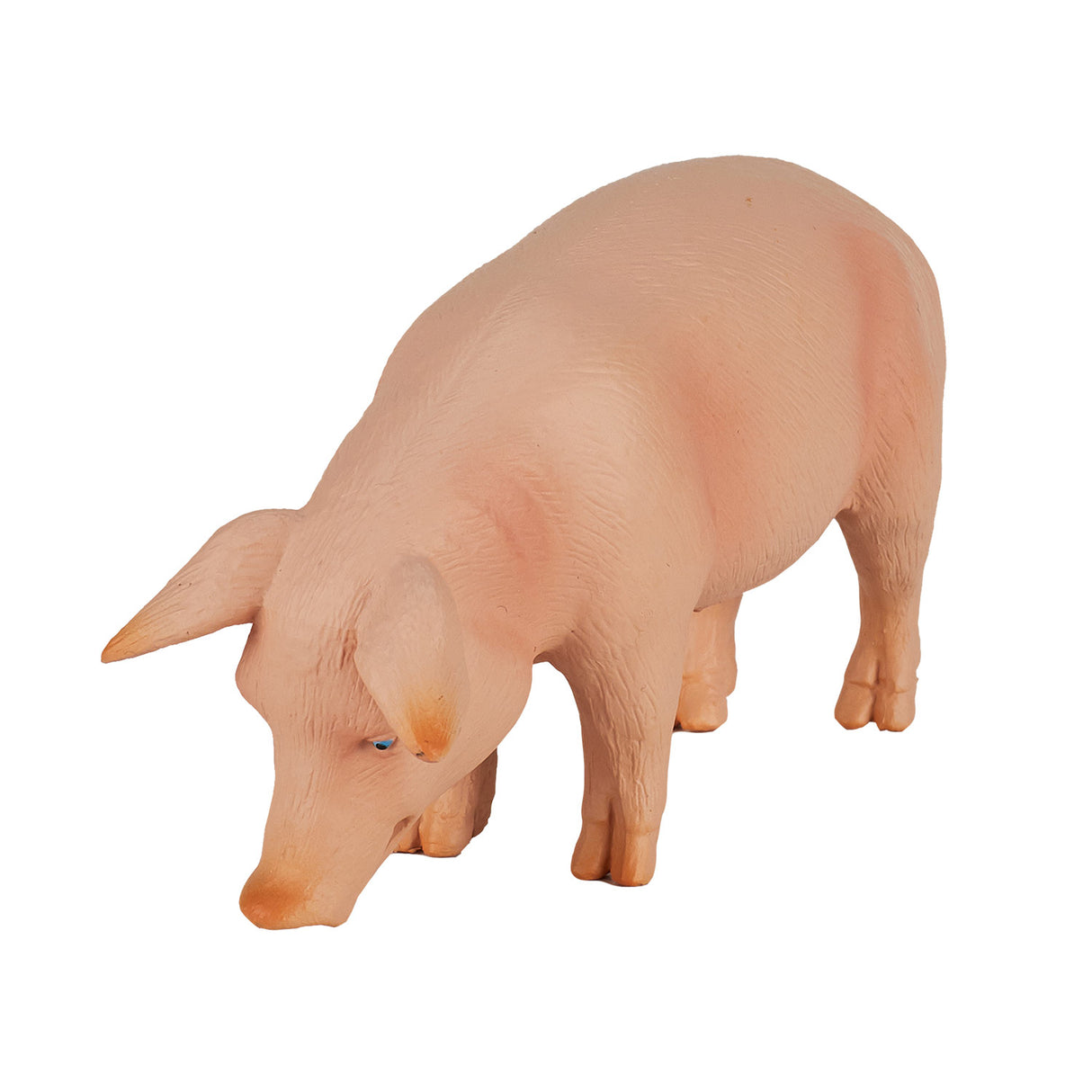 Sanglier des terres agricoles Mojo - 387080