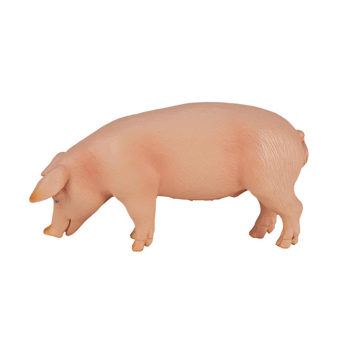 Sanglier des terres agricoles Mojo - 387080