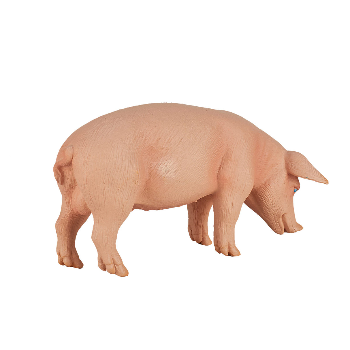 Sanglier des terres agricoles Mojo - 387080